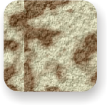 Imagen ampliada de incrustaciones